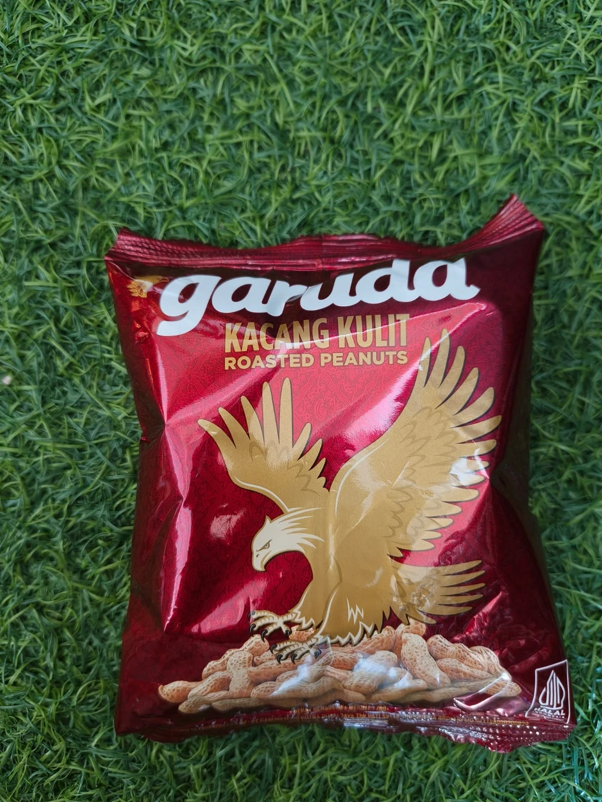 Garuda kacang kulit